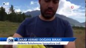 Zarar Verme! Doğaya Birak!  Akdeniz Bukalemunu Karayoluna Indi - Haberler